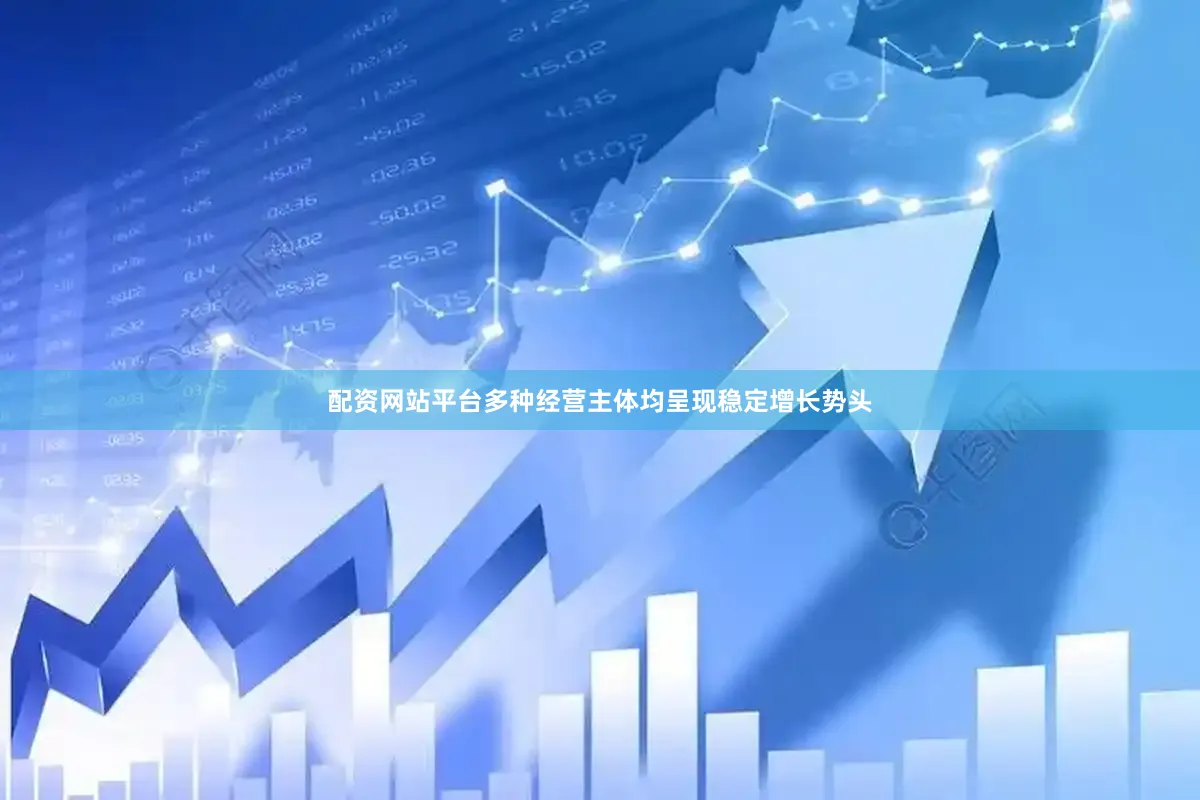 配资网站平台多种经营主体均呈现稳定增长势头