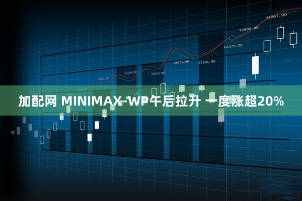加配网 MINIMAX-WP午后拉升 一度涨超20%