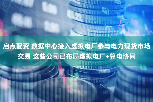 启点配资 数据中心接入虚拟电厂参与电力现货市场交易 这些公司已布局虚拟电厂+算电协同