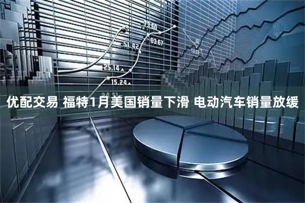 优配交易 福特1月美国销量下滑 电动汽车销量放缓