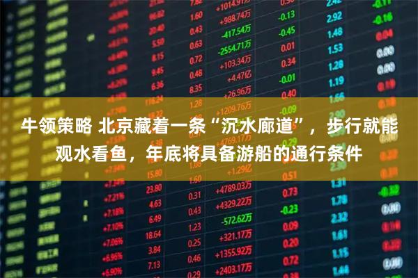 牛领策略 北京藏着一条“沉水廊道”，步行就能观水看鱼，年底将具备游船的通行条件